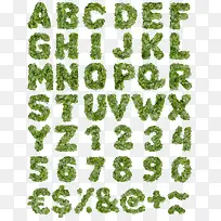 ��Ҷ��ĸ���ַ���-������