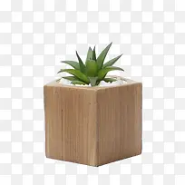 家居,植物,草,绿-空若网 家居,植物,草,绿-空若网