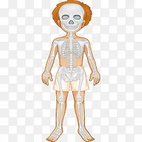 人体骨骼系统-空若网 人体骨骼系统-空若网