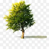 绿色景观角度摄影-空若网 绿色景观角度摄影-空若网