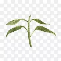 Ë®²Ê»Æ½ÃæÉè¼ÆÊ¦»æÍ¼-Ò¶Ë®²Ê»-¿ÕÈôÍø Ë®²Ê»Æ½ÃæÉè¼ÆÊ¦»æÍ¼-Ò¶Ë®²Ê»-¿ÕÈôÍø