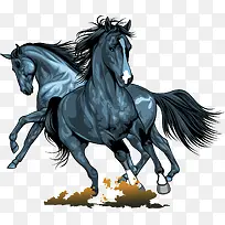 动物-空若网 动物-空若网