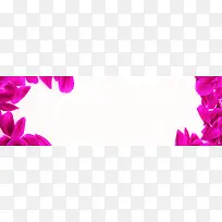 呵护的爱情-空若网 呵护的爱情-空若网