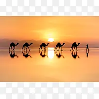 ����̫��������Ӱ-������