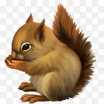 松鼠 动物 可爱-空若网 松鼠 动物 可爱-空若网