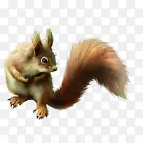 可爱实物松鼠-空若网 可爱实物松鼠-空若网