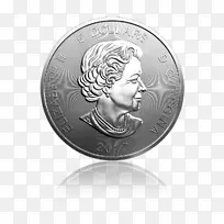 ���ô�����ϸ��-����-������