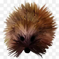 手绘刺猬-空若网 手绘刺猬-空若网