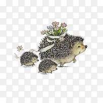 插画-刺猬一家-空若网 插画-刺猬一家-空若网