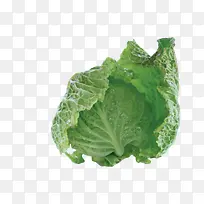 ��Ҷ-������