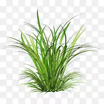 ÏÂÔØ¼ôÌù»-ËïÅô-¿ÕÈôÍø ÏÂÔØ¼ôÌù»-ËïÅô-¿ÕÈôÍø