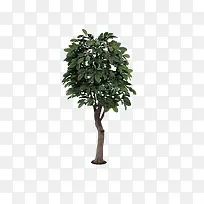 �ɿÿ�����-������