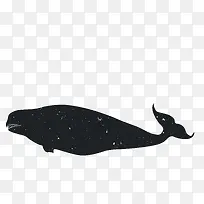 �����Ӱ-������