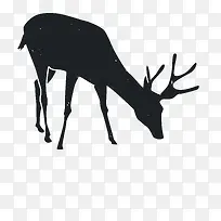 �����Ӱ-������