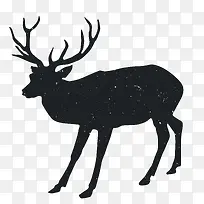 动物剪影-空若网 动物剪影-空若网