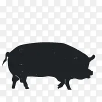 �����Ӱ-������