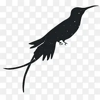 �����Ӱ-������