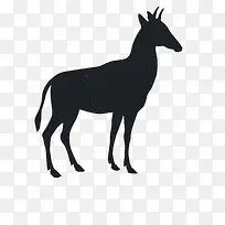 动物剪影-空若网 动物剪影-空若网