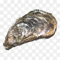 ��ɫ�������-������