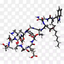 �߼����������.ϸ��-������