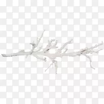 树枝雪盐-空若网 树枝雪盐-空若网