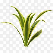 �̲�-������