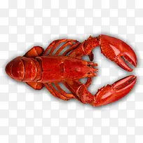 俯视美味龙虾食物-空若网 俯视美味龙虾食物-空若网