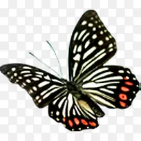 ������Ӱ���պ���-������