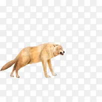 手绘高清动物插图-空若网 手绘高清动物插图-空若网