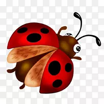 七星瓢虫,昆虫,桌面壁纸,剪贴画-空若网 七星瓢虫,昆虫,桌面壁纸,剪贴画-空若网