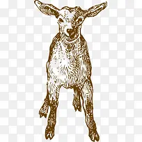 羊手绘-空若网 羊手绘-空若网