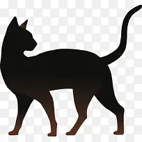 猫-空若网 猫-空若网