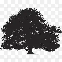 ����Ӱ-������