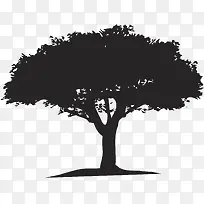 ��Ӱ��-������