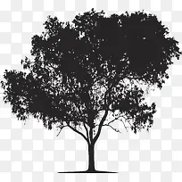 剪影树-空若网 剪影树-空若网