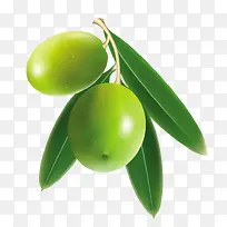 绿色水果绿色叶子-空若网 绿色水果绿色叶子-空若网