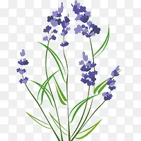薰衣草图标矢量图-空若网 薰衣草图标矢量图-空若网