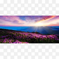 摄影系列背景-空若网 摄影系列背景-空若网