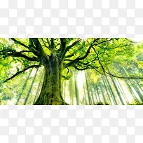 ��Ӱϵ�б���-������