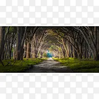 摄影系列背景-空若网 摄影系列背景-空若网