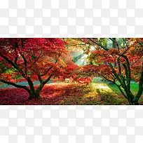 摄影系列背景-空若网 摄影系列背景-空若网