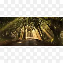 摄影系列背景-空若网 摄影系列背景-空若网