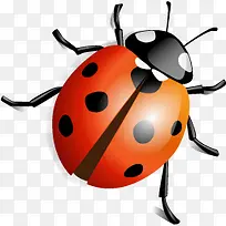 ����ͼ�����-������