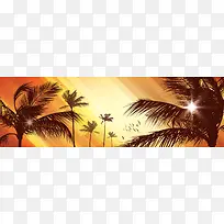 精美棕榈树banne背景-空若网 精美棕榈树banne背景-空若网