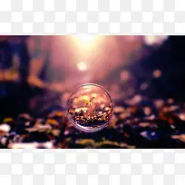 ���ű���-������