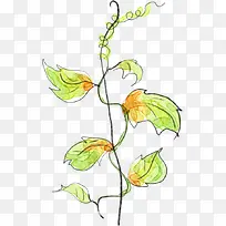 彩色手绘艺术植物-空若网 彩色手绘艺术植物-空若网