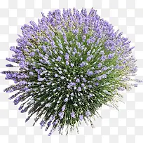 Ê¢·ÅÞ¹Ò²Ý-¿ÕÈôÍø Ê¢·ÅÞ¹Ò²Ý-¿ÕÈôÍø