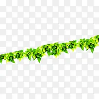 绿色树藤素材-空若网 绿色树藤素材-空若网