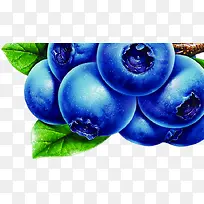 ��ݮˮ����ʵ��֦-������