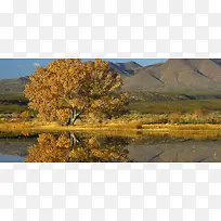 背景图片-空若网 背景图片-空若网